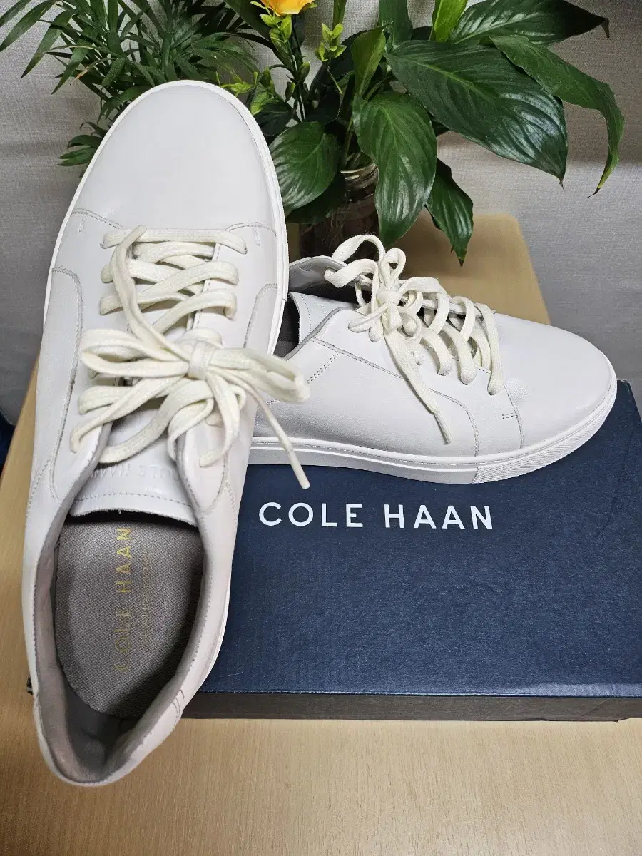 새제품 Cole Haan 콜한 스니커즈 270